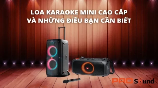LOA KARAOKE MINI CAO CẤP VÀ NHỮNG ĐIỀU BẠN CẦN BIẾT