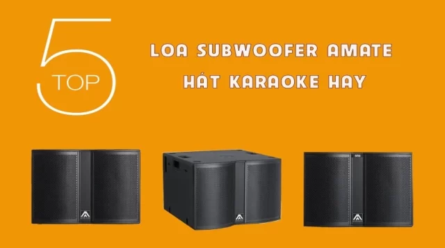 Top 5 Loa Subwoofer Karaoke Amate Hay Nhất Hiện Nay