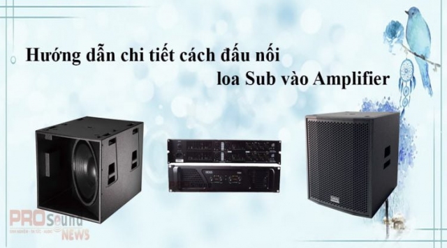 Hướng dẫn chi tiết cách đấu nối loa Sub vào Amplifier