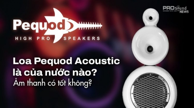 Loa Pequod Acoustic là của nước nào? Âm thanh có tốt không?