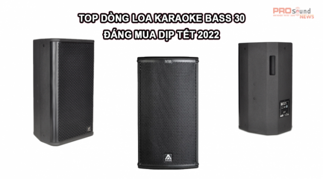Top Dòng Loa Karaoke Bass 30 Đáng Mua Dịp Tết 2022