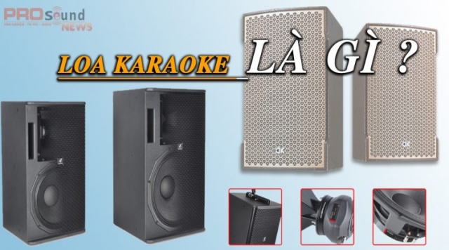 Loa karaoke là gì?