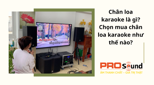 Chân loa karaoke là gì? Chọn mua chân loa karaoke như thế nào? 