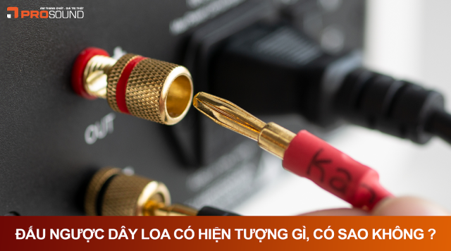 Đấu ngược dây loa có sao không?