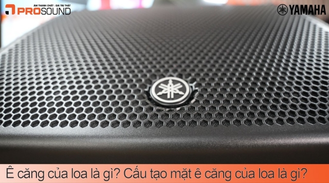 Ê căng loa là gì? Cấu tạo mặt của ê căng của Loa là gì?