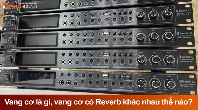 Vang cơ có Reverb là gì?