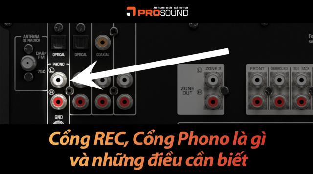 Cổng REC, Cổng Phono là gì và những điều cần biết