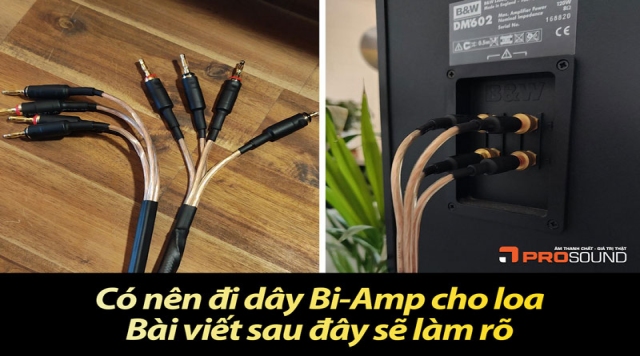 Có nên đi dây Bi-Amp cho loa