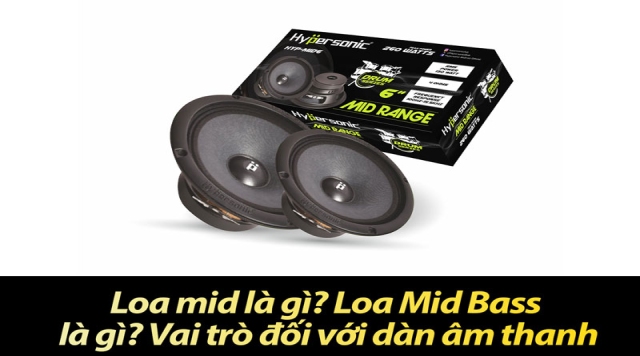 Loa mid là gì? Loa Mid Bass là gì? Vai trò đối với dàn âm thanh
