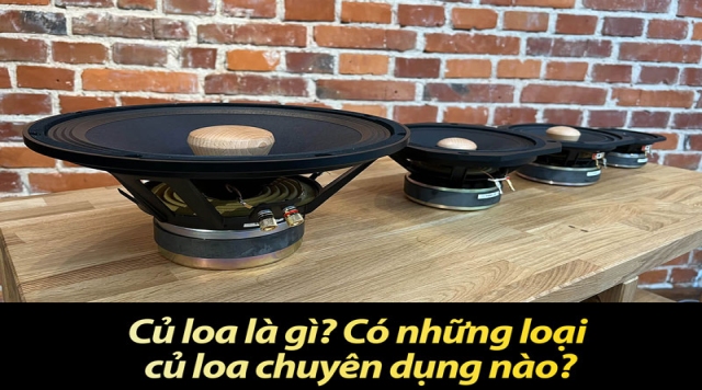 Củ loa là gì? Có những loại củ loa chuyên dụng nào?