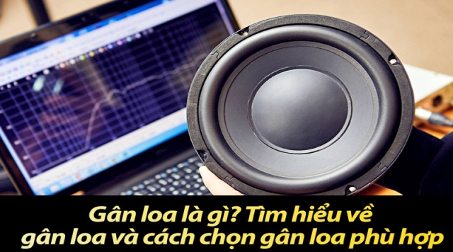 Gân loa là gì? Tìm hiểu về gân loa và cách chọn gân loa phù hợp