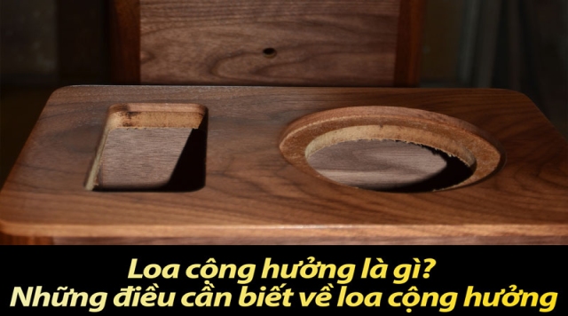 Loa cộng hưởng là gì? Những điều cần biết về Loa cộng hưởng