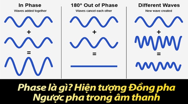 Pha (Phase) là gì? Hiện tượng Đồng Pha, Ngược Pha trong âm thanh