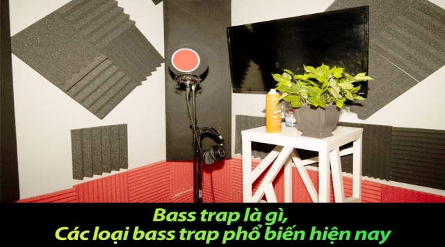 Bass trap là gì, Các loại bass trap phổ biến hiện nay