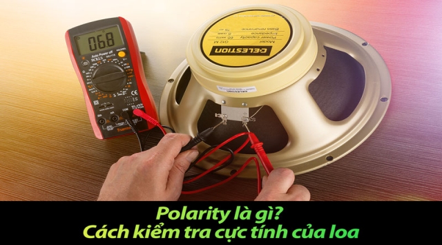 Polarity là gì? Cách kiểm tra cực tính của loa