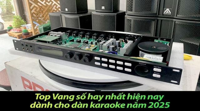 Top Vang số hay nhất hiện nay dành cho dàn karaoke năm 2025