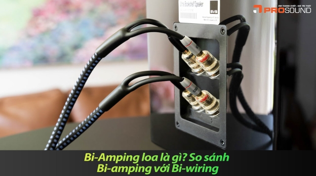 Bi-Amping loa là gì? So sánh Bi-amping với Bi-wiring