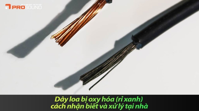 Dây loa bị oxy hóa (rỉ xanh) cách nhận biết và xử lý tại nhà