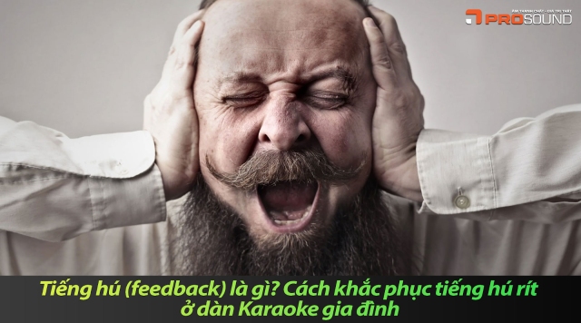 Tiếng hú (feedback) là gì? Cách khắc phục tiếng hú rít ở dàn Karaoke gia đình