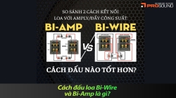 Cách đấu loa Bi-Wire và Bi-Amp là gì? 