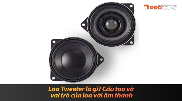  Loa Tweeter Là Gì? Cấu Tạo Và Vai Trò Không Thể Thay Thế Trong Hệ Thống Âm Thanh