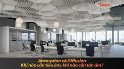 Absorption và Diffusion - Khi nào cần tiêu âm, khi nào cần tán âm?