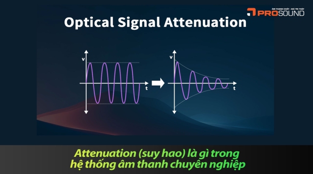 Attenuation (suy hao) là gì trong hệ thống âm thanh chuyên nghiệp