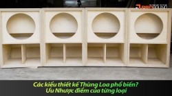 Các kiểu thiết kế Thùng Loa phổ biến? Ưu Nhược điểm của từng loại