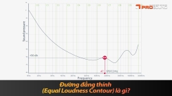 Đường đẳng thính (Equal Loudness Contour) là gì?