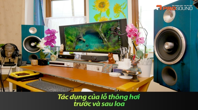 Tác dụng của lỗ thông hơi trước và sau loa