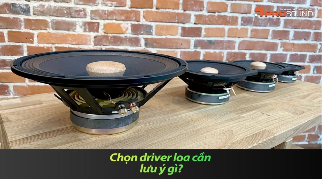 Chọn driver loa cần lưu ý gì?