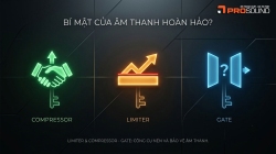 Limiter & Compressor - Gate công cụ nén và bảo vệ âm thanh