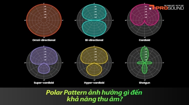 Polar Pattern ảnh hưởng gì đến khả năng thu âm?
