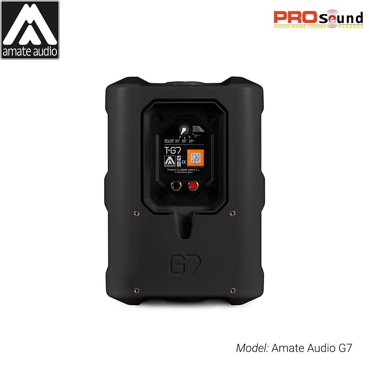 Loa Amate Audio G7