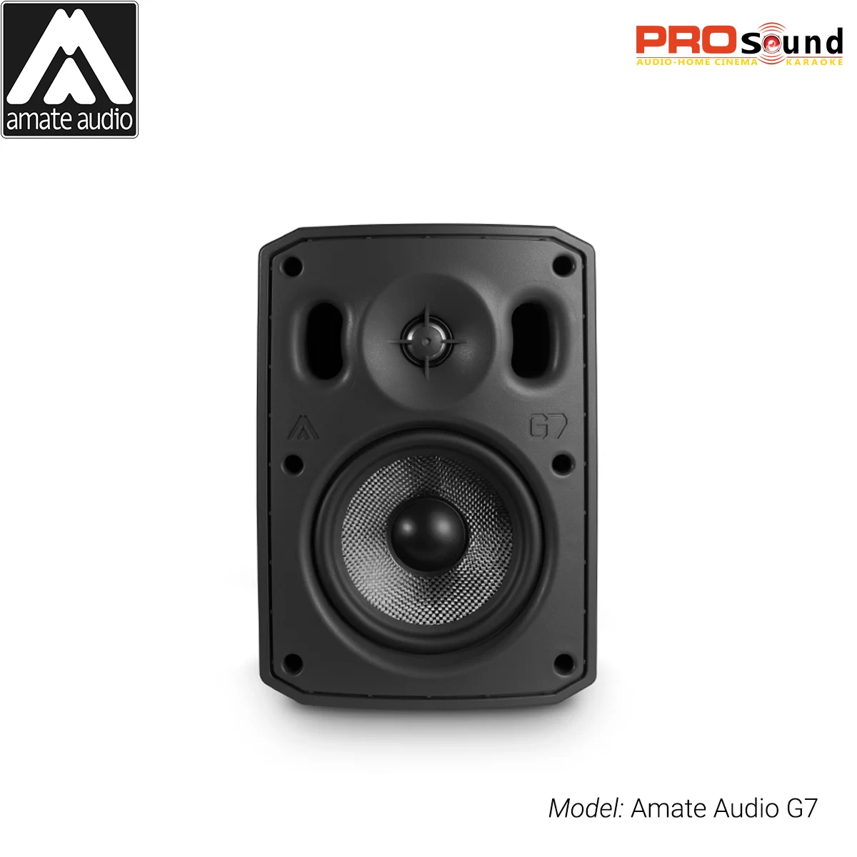 Loa Amate Audio G7