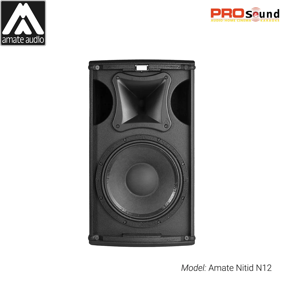 Loa Amate Nitid N12 Active