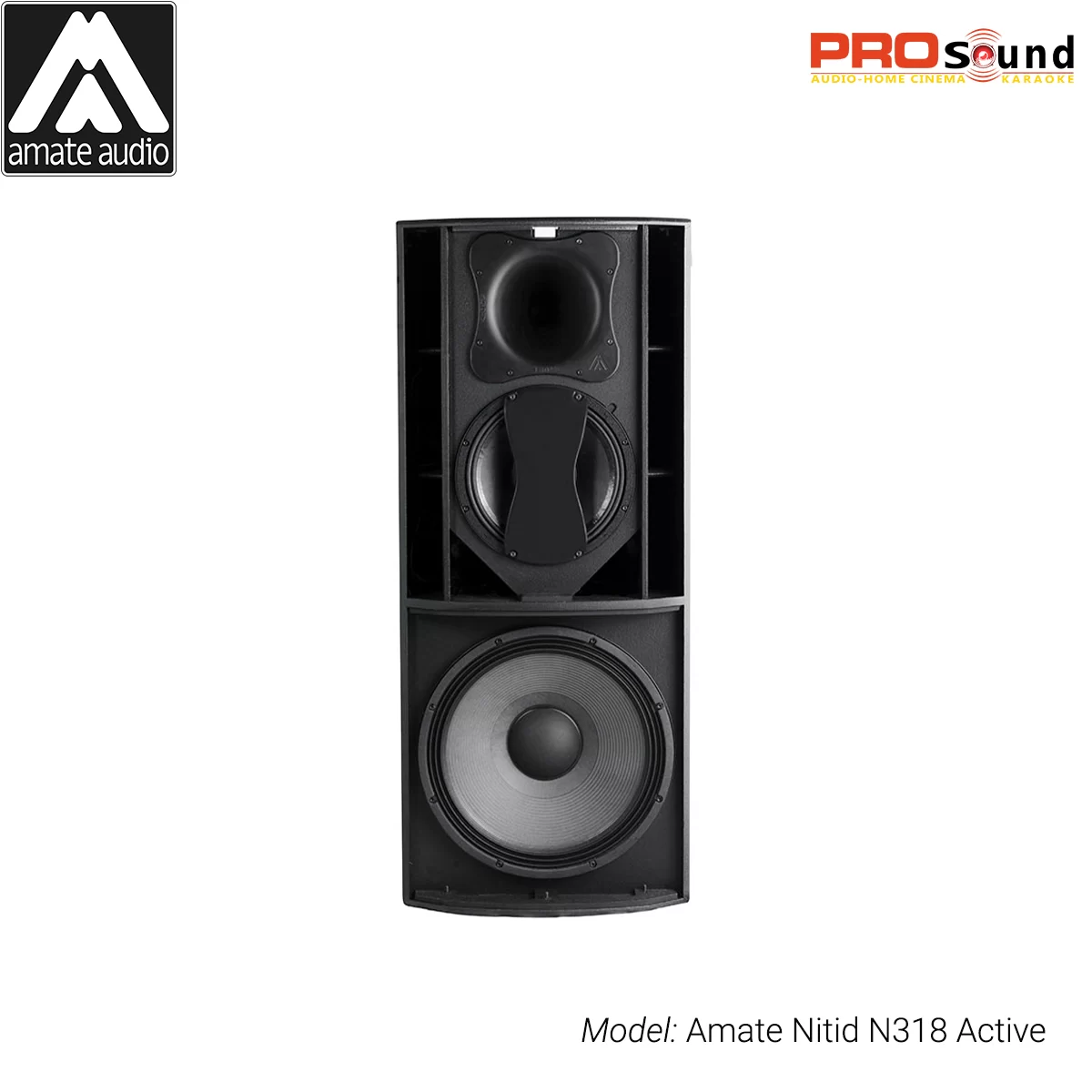 Loa Amate Nitid N318 Active