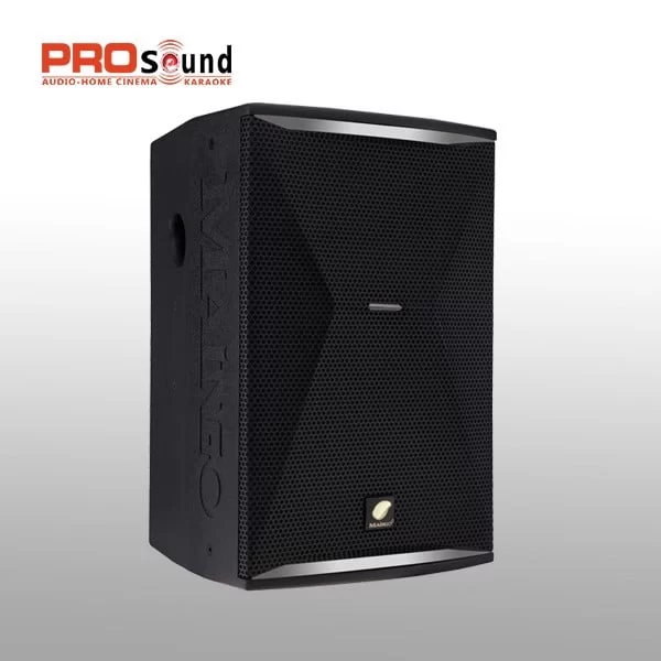 Loa Karaoke Maingo XZR 12