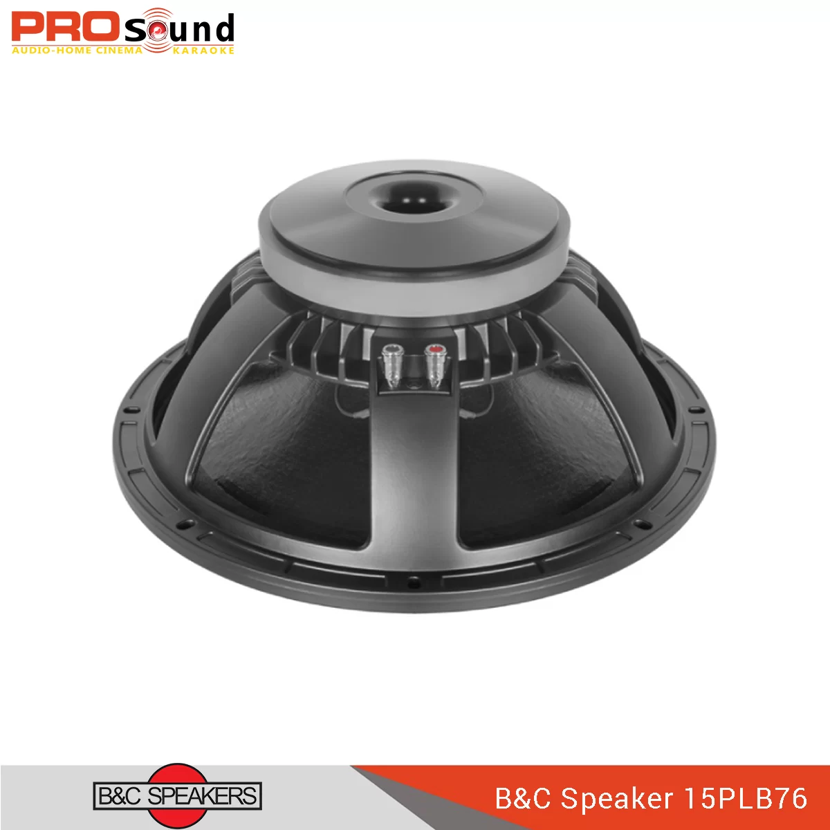 B&C Speakers 15PLB76