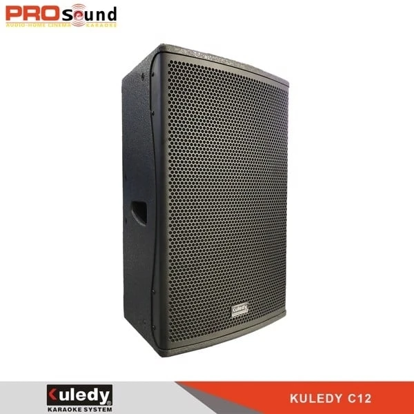 Loa Karaoke Kuledy C12