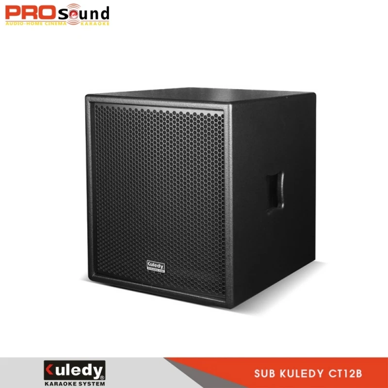 Loa Sub Kuledy CT12B