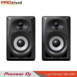 Loa Monitor Pioneer RM 05