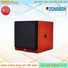Loa Passive Subwoofer H12