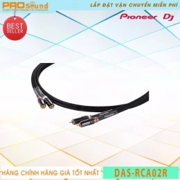 PIONEER DAS RCA02R