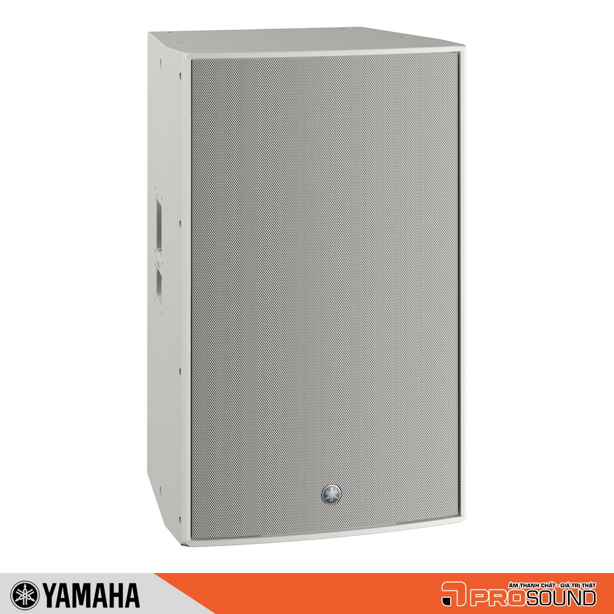 Loa Yamaha DZR315-DW