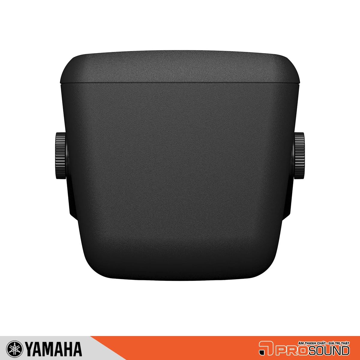 Loa Yamaha STAGEPAS 100