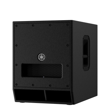 Loa subwoofer DXS12mkII