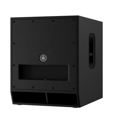 Loa subwoofer DXS15mkII