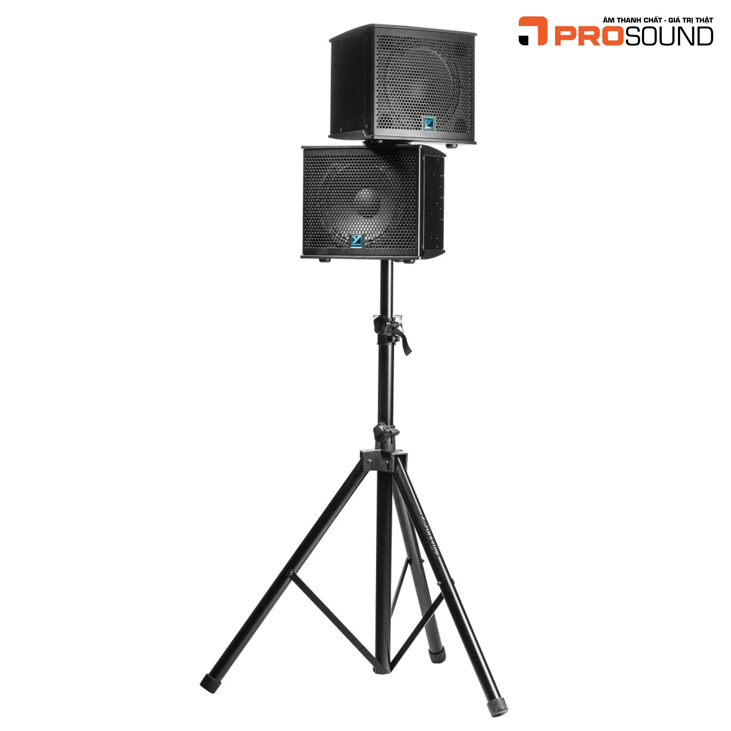 Loa Yorkville NX10C-2