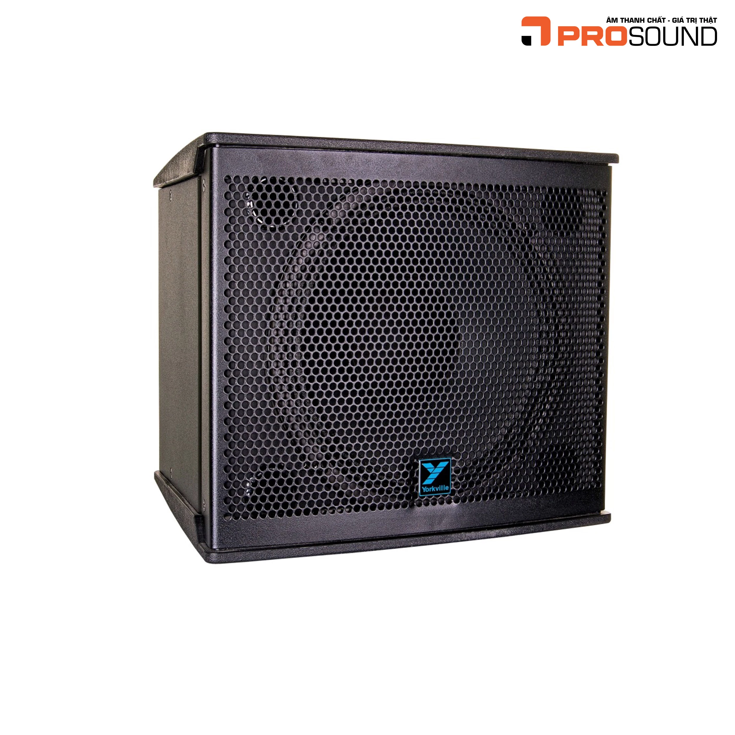 Loa Yorkville NX10C-2